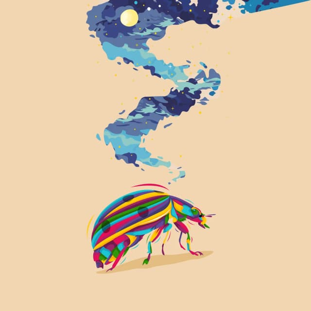 Ladybug in a starry swirl
